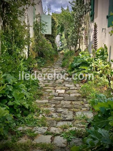 Photo 35: An accomodation located in Saint-Martin-de-Ré on ile de Ré.