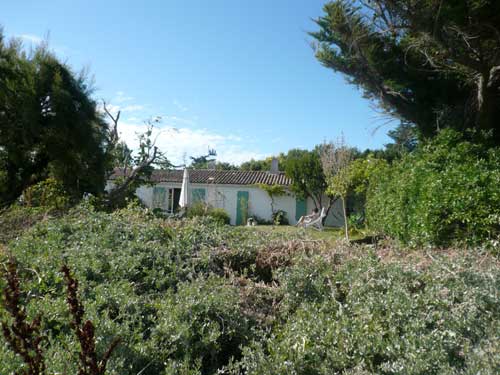 Photo 4: An accomodation located in Les Portes-en-Ré on ile de Ré.