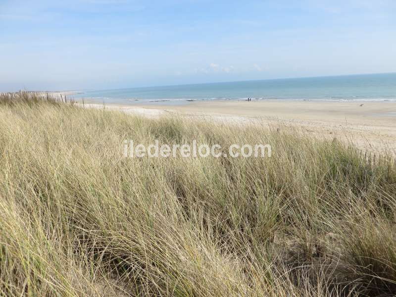 Photo 10: An accomodation located in Le Bois-Plage-en-Ré on ile de Ré.