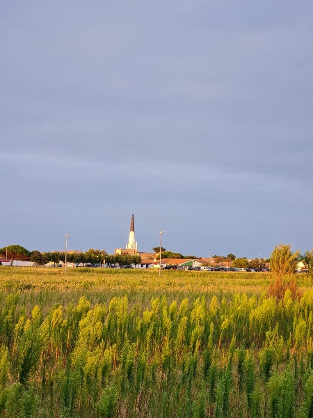 Photo 9: An accomodation located in Ars en Ré on ile de Ré.