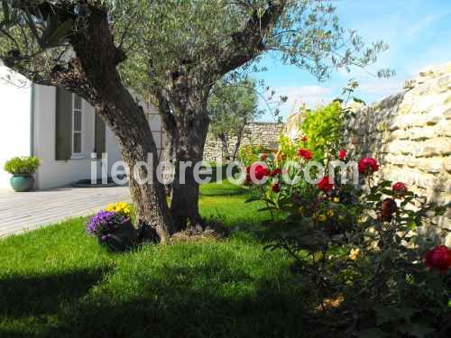 Photo 5: An accomodation located in La Flotte-en-Ré on ile de Ré.