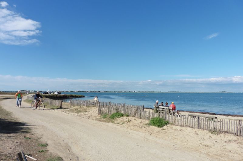 Photo 23: An accomodation located in La Couarde-sur-mer on ile de Ré.