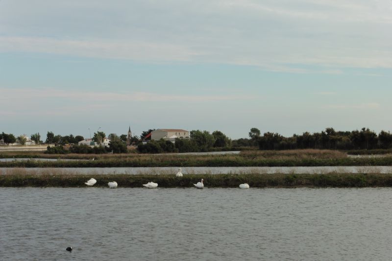 Photo 22: An accomodation located in La Couarde-sur-mer on ile de Ré.