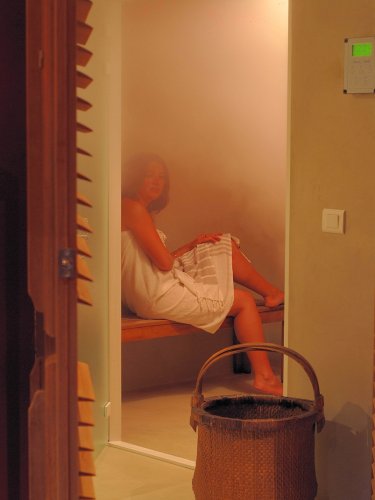 Photo 9: An accomodation located in Le Bois-Plage-en-Ré on ile de Ré.