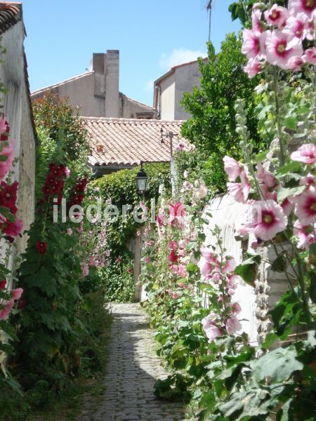 Photo 12: An accomodation located in Saint-Martin-de-Ré on ile de Ré.