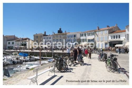 Photo 13: An accomodation located in La Flotte-en-Ré on ile de Ré.