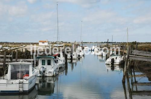 Photo 10: An accomodation located in La Couarde-sur-mer on ile de Ré.