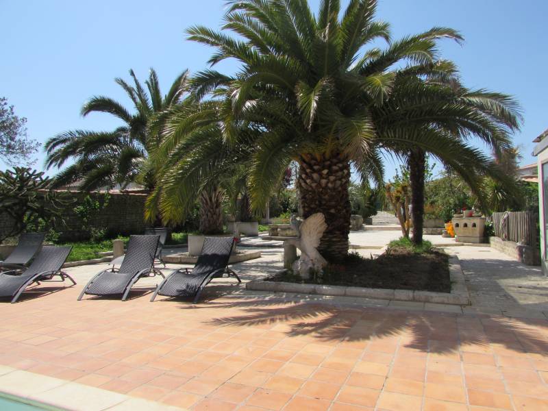 Photo 6: An accomodation located in La Flotte-en-Ré on ile de Ré.