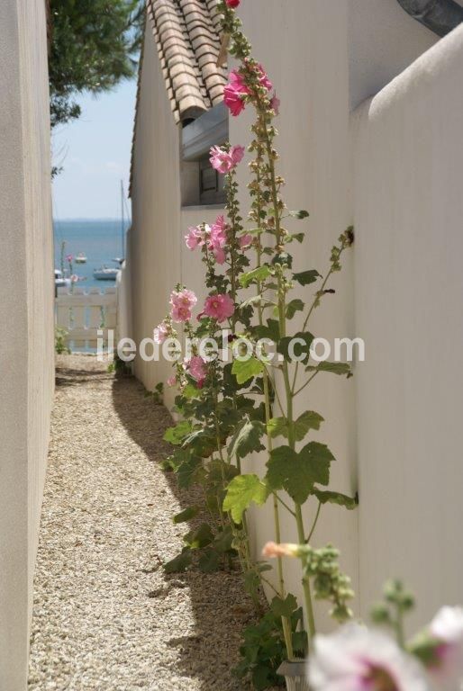 Photo 12: An accomodation located in Rivedoux-Plage on ile de R&eacute;.