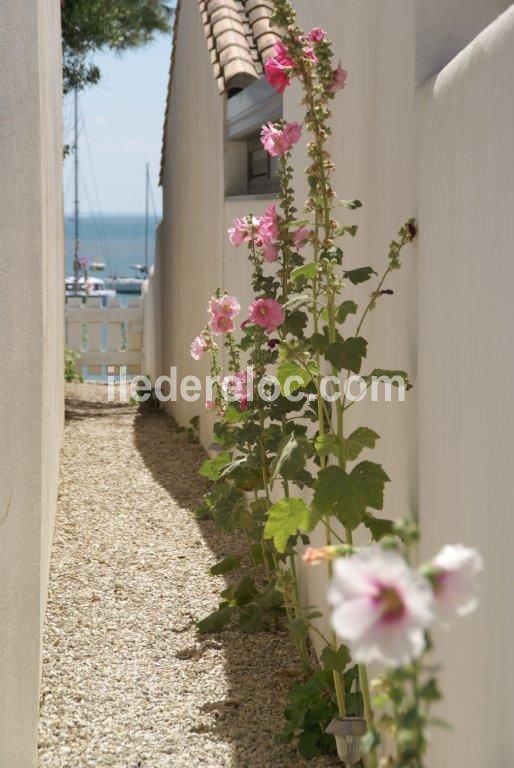 Photo 13: An accomodation located in Rivedoux-Plage on ile de R&eacute;.