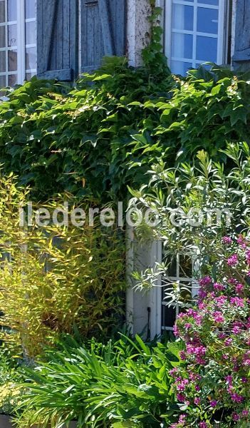 Photo 55: An accomodation located in La Couarde-sur-mer on ile de Ré.