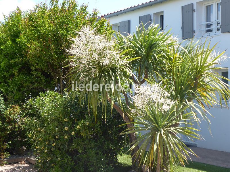 Photo 33: An accomodation located in La Couarde-sur-mer on ile de Ré.