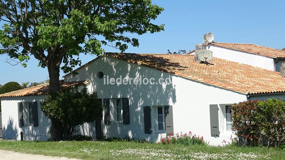 Photo 11: An accomodation located in Saint-Martin-de-Ré on ile de Ré.