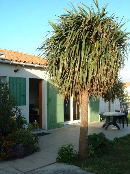 Photo 8: An accomodation located in La Couarde-sur-mer on ile de Ré.