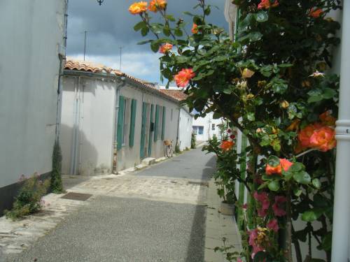 Photo 18: An accomodation located in La Flotte-en-Ré on ile de Ré.