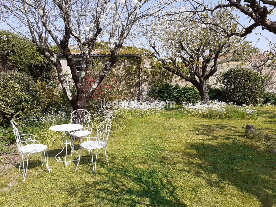 Photo 13: An accomodation located in Saint-Martin-de-Ré on ile de Ré.