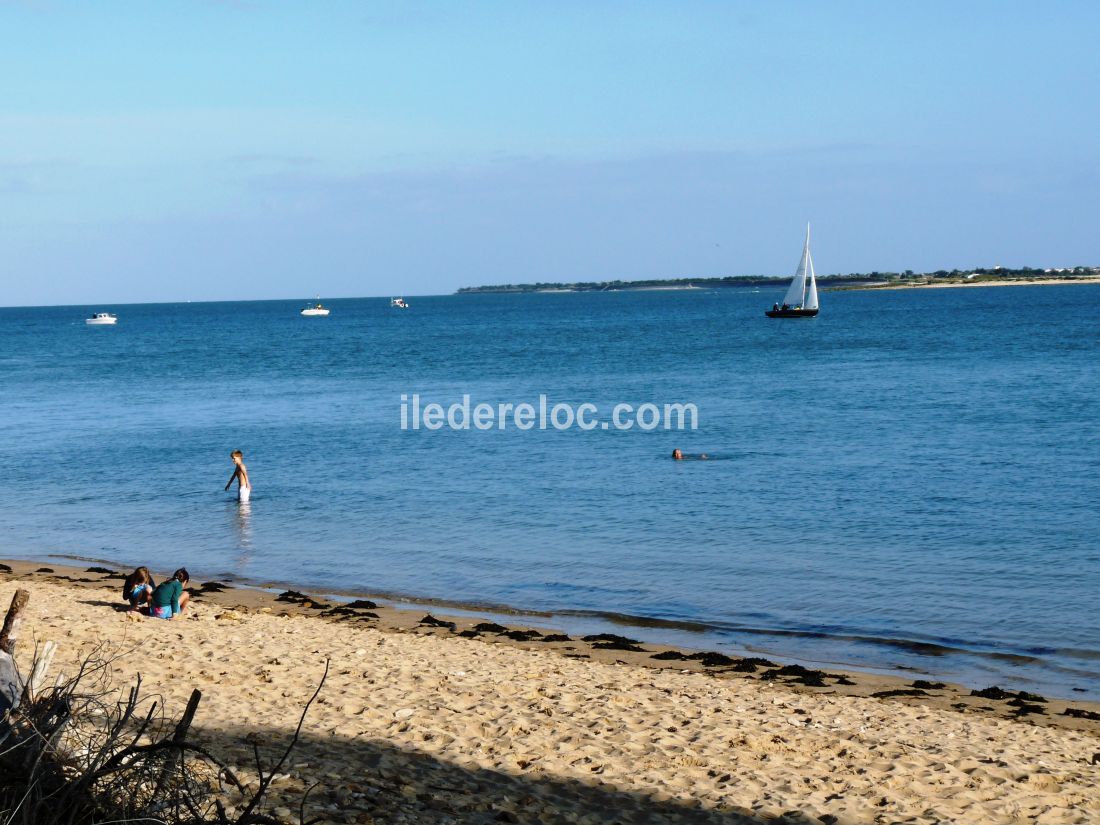 Photo 35: An accomodation located in Les Portes-en-Ré on ile de Ré.