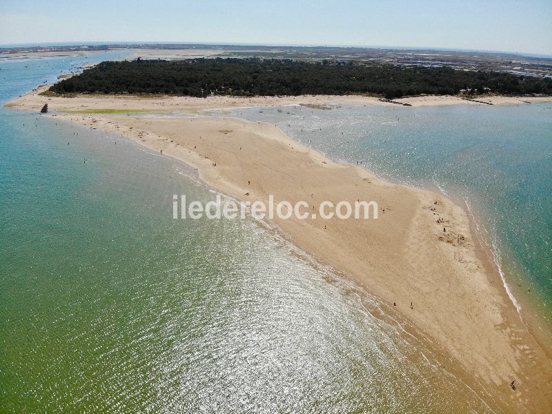 Photo 26: An accomodation located in Saint-Clément-des-Baleines on ile de Ré.