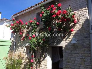 Ile de Ré:Typical house rethaise in the heart of the village, 300 meters from the sea