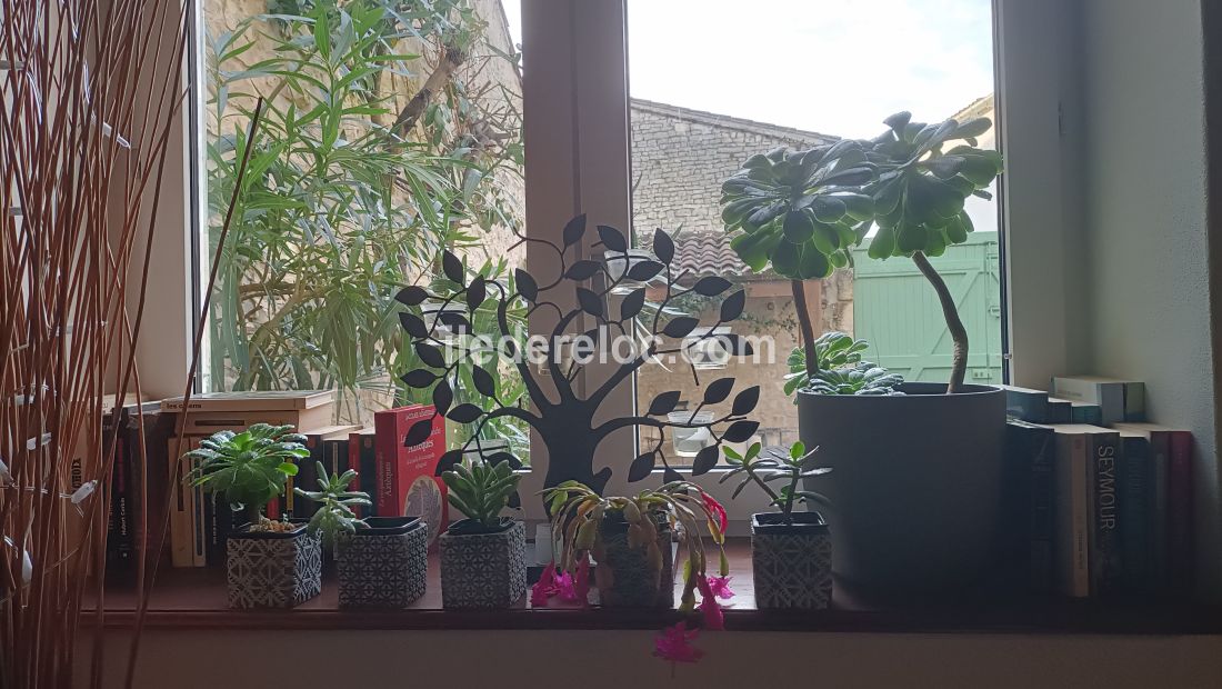 Photo 22: An accomodation located in Sainte-Marie-de-R&eacute; on ile de R&eacute;.