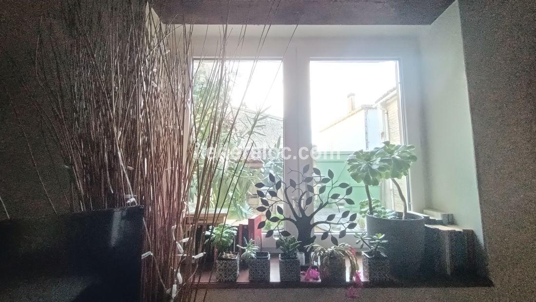 Photo 24: An accomodation located in Sainte-Marie-de-R&eacute; on ile de R&eacute;.