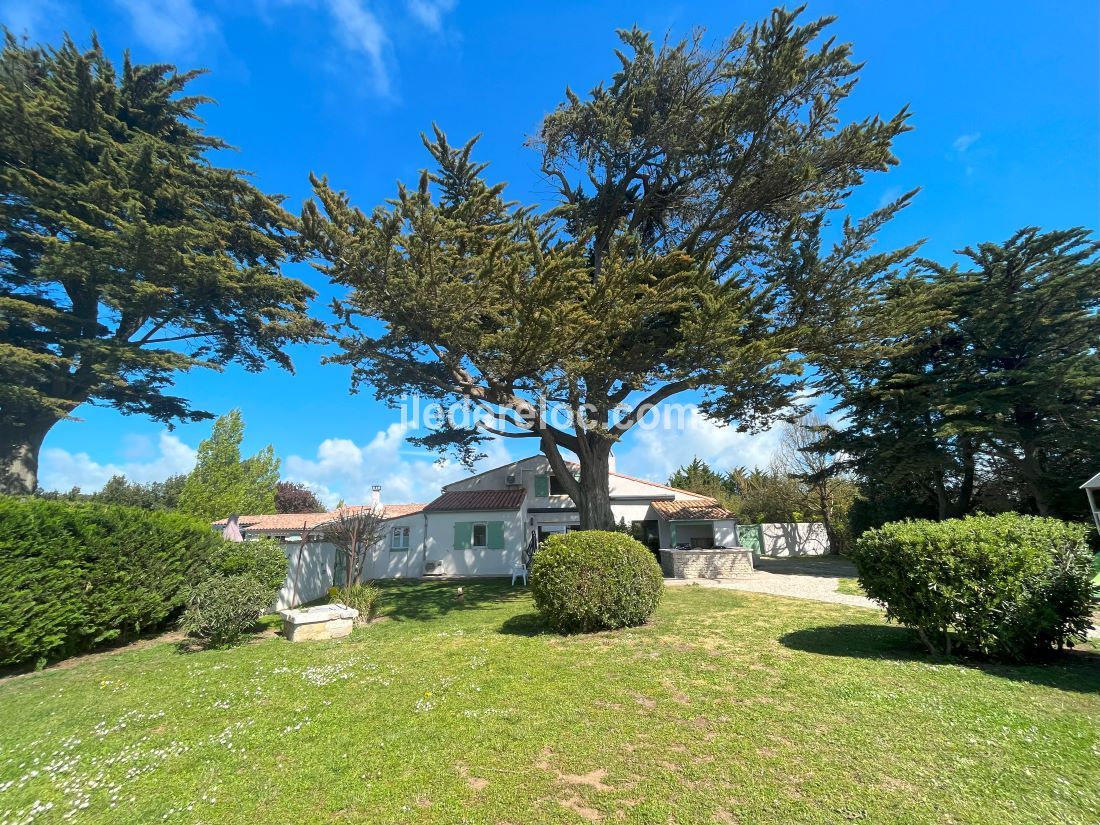 Photo 7: An accomodation located in Saint-Martin-de-Ré on ile de Ré.