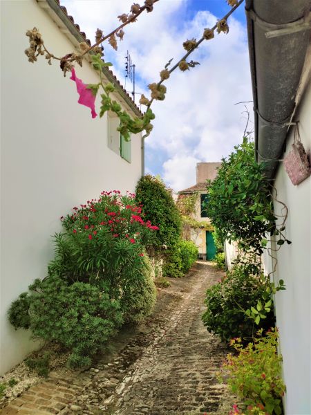 Photo 18: An accomodation located in La Flotte-en-Ré on ile de Ré.