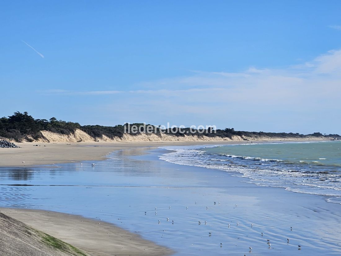 Photo 15: An accomodation located in Les Portes-en-R&eacute; on ile de R&eacute;.