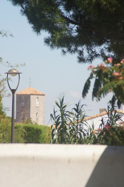 Photo 28: An accomodation located in La Flotte-en-Ré on ile de Ré.