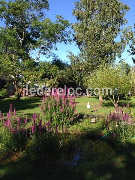 Photo 37: An accomodation located in Le Bois-Plage-en-Ré on ile de Ré.