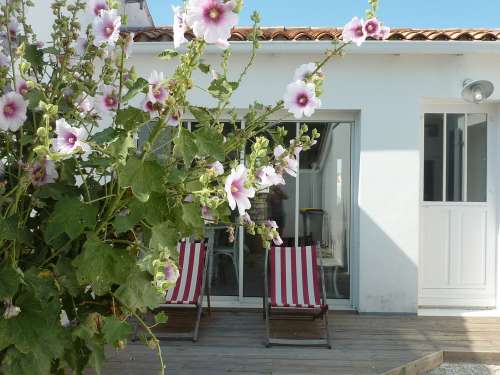 Photo 4: An accomodation located in Sainte-Marie-de-Ré on ile de Ré.