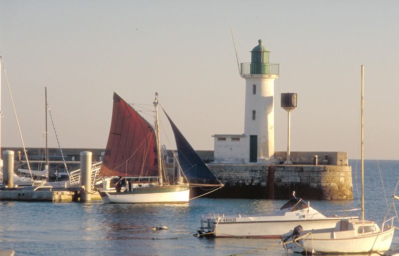 Photo 12: An accomodation located in La Flotte-en-Ré on ile de Ré.