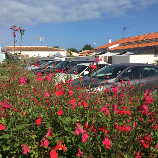 Photo 10: An accomodation located in La Flotte-en-Ré on ile de Ré.