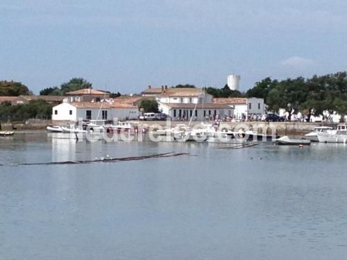 Photo 16: An accomodation located in Loix on ile de Ré.