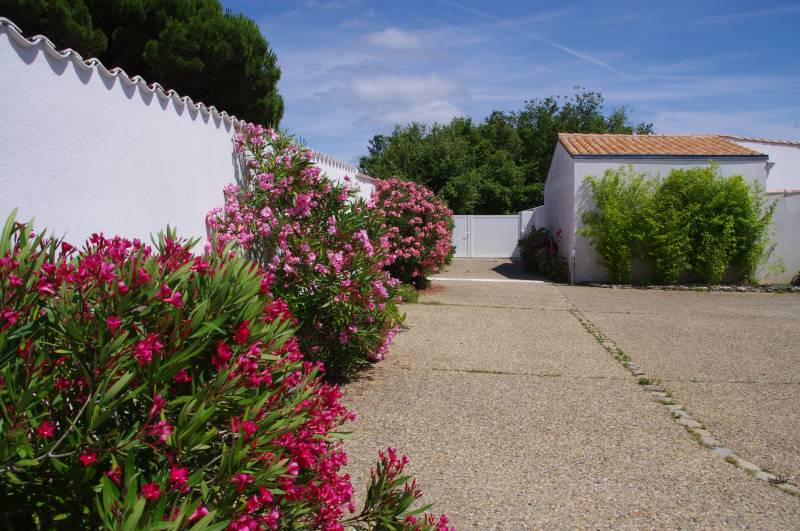 Photo 20: An accomodation located in La Couarde-sur-mer on ile de Ré.