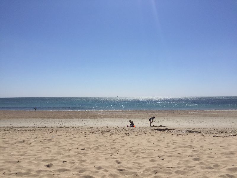 Photo 14: An accomodation located in Loix on ile de Ré.