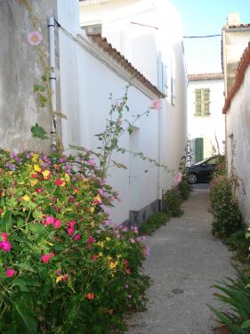 Photo 10: An accomodation located in Le Bois-Plage-en-Ré on ile de Ré.