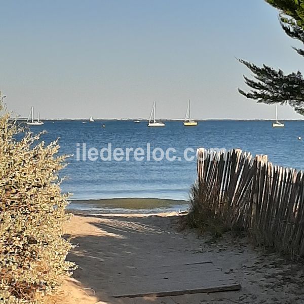 Photo 12: An accomodation located in Rivedoux-Plage on ile de Ré.