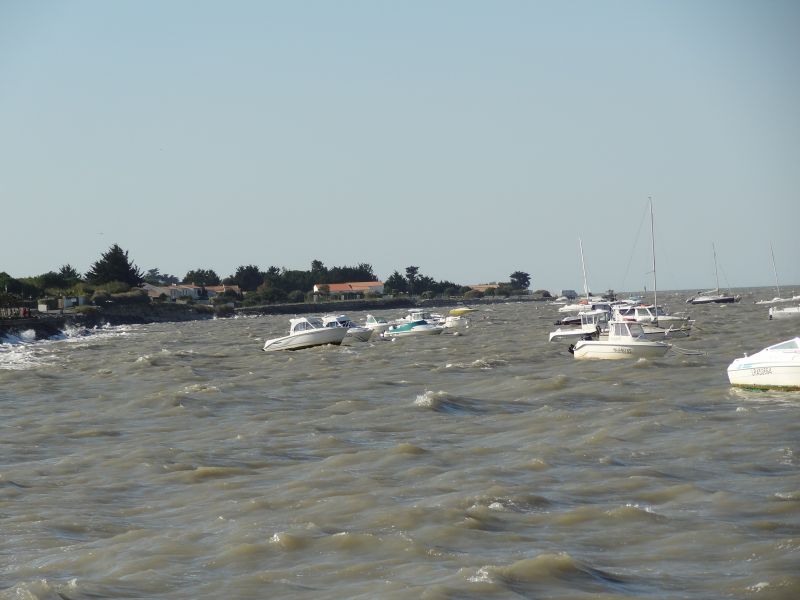 Photo 17: An accomodation located in La Flotte-en-Ré on ile de Ré.