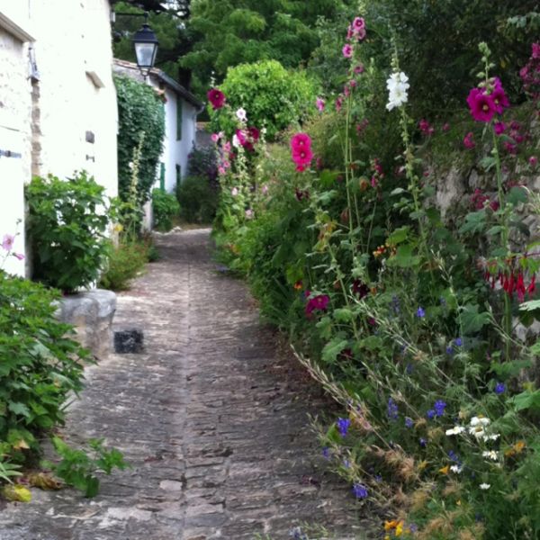 Photo 14: An accomodation located in La Flotte-en-Ré on ile de Ré.