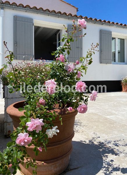 Photo 38: An accomodation located in Le Bois-Plage-en-Ré on ile de Ré.