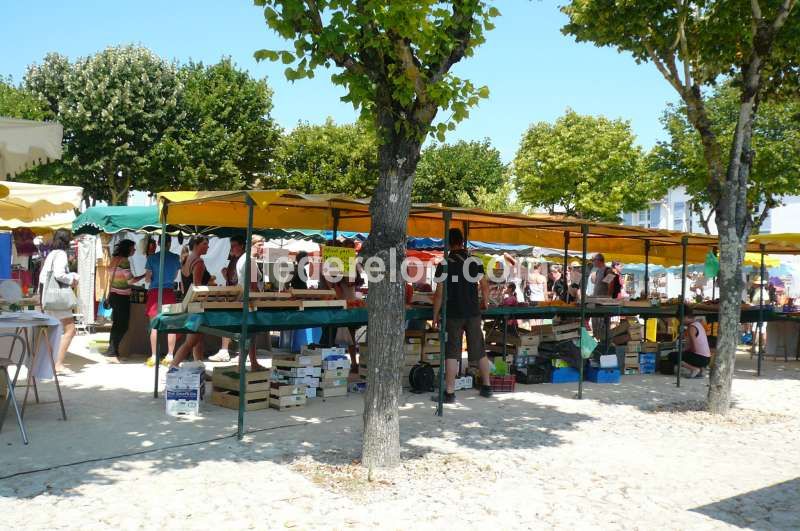 Photo 22: An accomodation located in Sainte-Marie-de-Ré on ile de Ré.