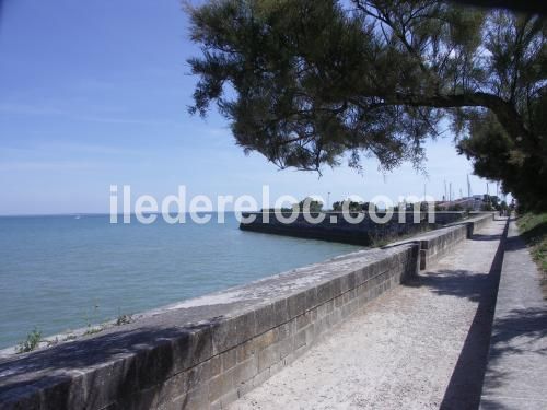 Photo 14: An accomodation located in Saint-Martin-de-Ré on ile de Ré.