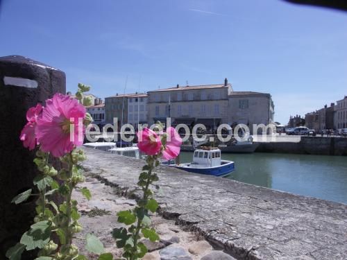 Photo 11: An accomodation located in Saint-Martin-de-Ré on ile de Ré.