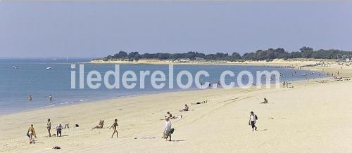 Photo 9: An accomodation located in Rivedoux-Plage on ile de Ré.