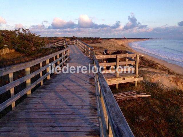 Photo 20: An accomodation located in Le Bois-Plage-en-Ré on ile de Ré.