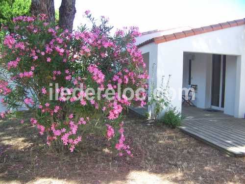 Photo 4: An accomodation located in Les Portes-en-Ré on ile de Ré.