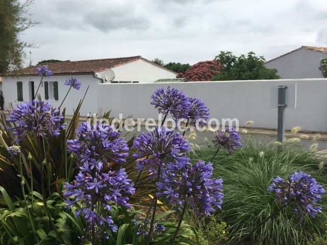 Photo 19: An accomodation located in Sainte-Marie-de-Ré on ile de Ré.