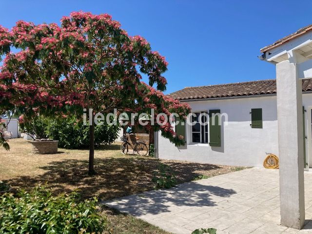 Photo 12: An accomodation located in Sainte-Marie-de-Ré on ile de Ré.