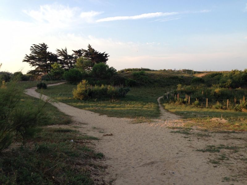 Photo 38: An accomodation located in Le Bois-Plage-en-Ré on ile de Ré.